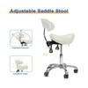 LIMKOMES Saddle Stool with Wheels,Rolling Stool with Back Support,Ergonomic Stool