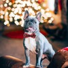 Asvin Christmas Dog Collar, with Bow tie Collar, Soft, Comfortable