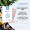 Healthspan Magnesium 375mg | Everyday Support for Muscles & Nervous
