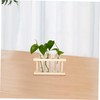 Outanaya 6pcs Clear Test Tube Vases for Hydroponic Plants Transparent