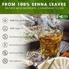 FRESHDRINKUS FreshDrinkUS, Premium 55 Senna Leaf Tea Bags, 100% Natural