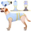 Kuoser Recovery Suit for Dogs Cats After Surgery, Professional Pet