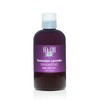 Sea Chi Organics Tasmanian Lavender Shampoo 8oz/240ml