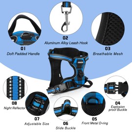SIBOTER Dog Harness with Dog Lead, Reflective Dog Harness for Small Dogs, with Easy Control Handle and Back, Perfect for Outdoor Walks (Blue Checked, M)