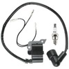 Carbhub 531147161 Ignition Coil with Spark Plug Fit for 150BT