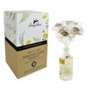 Penny & Rose Magnolia Diffuser | Sunrise Dew Oil Scent