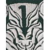 Medal Of Honor Wolfpack Green White Black Trim MOH AFO