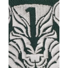 Medal Of Honor Wolfpack Green White Black Trim MOH AFO Tactical Embroid. Patch