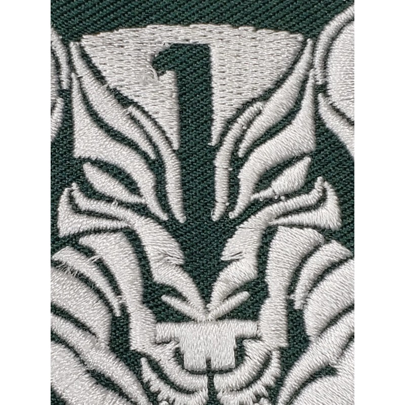 Medal Of Honor Wolfpack Green White Black Trim MOH AFO