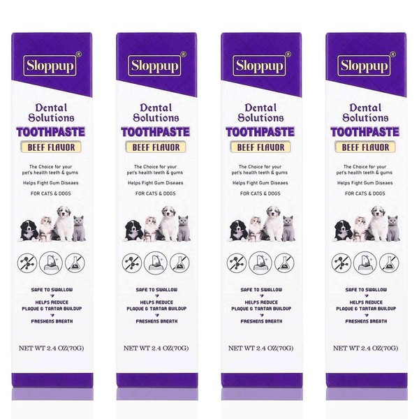 Toothpaste | Teeth Cleaning and Fresh Breath Dental Care for