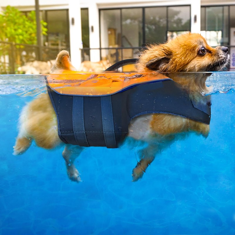 Aqua Pro Dog Flotation Life Jacket Safety Vest, Swimming Float