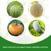 Belit 10 Pack Melon Hammock net Bag to Prevent Falling,Perfect