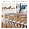 LASAMOLL Solid Brushed Brass Kitchen Cabinet Hardware Modern Handles Knobs