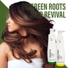 Biogreen Roots Shampoo & Conditioner - Sulfate-Free Hair Care with