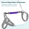 PetBonus Dog Collar Safety Clip, Handmade Backup Safety Strap for