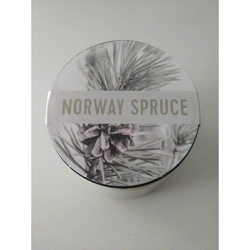 Modern Sprout Self Watering Planter Plant Tree Herb Grow Kit