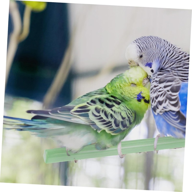 Pack of 20 Bird Standing Perches Trespol Plastic Bird Perch