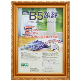 Nakabayashi Fu-KWP N Certificates Frame, Gold Frame, Made of Resin