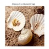 Scallop Shells White Natural Seashell 8 PCS for DIY Craft