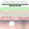 YiJiaBa Seaweed Under Eye Masks, Moisturizing, Nourishing, Improving Dark Circles,