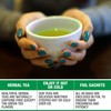 Tipson Organic Moringa Variety Sampler - 6 Flavors (60 Tea