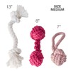 Pet Passion 3-Pack Organic Cotton Dog Rope Pull Toys for