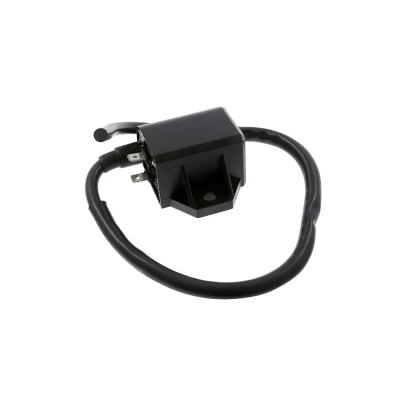 2EXTREME 12 V Ignition Coil for Benelli Pepe 50, Derbi