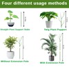 12 Pack Stackable Monstera Plant Support Stakes, Climbing Plants Support