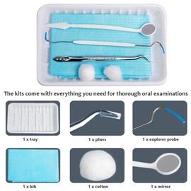 EDWERD Disposable Dental Examination Kits - Pliers, Explorer Probe, Mirror, Bib, Tray, Cotton 6 Sets Oral Care Supplies, 20 Pcs (20)
