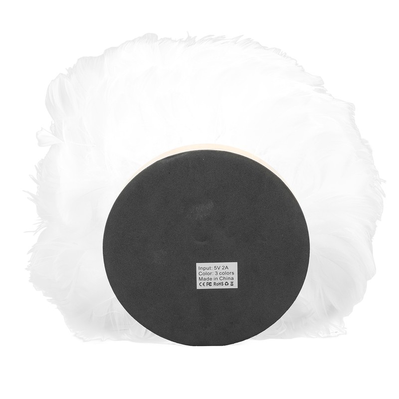 Feather Table Lamp USB Type C 5V Touch Control Stepless