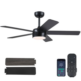 CHESUR 46" Black Ceiling Fans with Lights - Low Profile Ceiling Fan with Lights and Remote/APP, 5 Dual-Sided Blades, Reversible DC Motor, Modern Ceiling Fan for Indoor and Outdoor Use