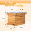 ThxBees 5 Frame Nuc Beehive Kit, Complete Bee Hive Nuc