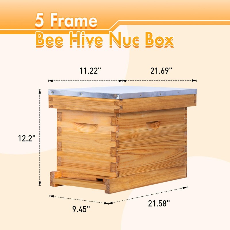 ThxBees 5 Frame Nuc Beehive Kit, Complete Bee Hive Nuc