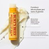 Burt's Bees Balsami Labbra in Vasetto, 1 x alla Cera