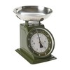 Taylor Analog Kitchen Scale, Stainless Steel Mechanical Food Scale with