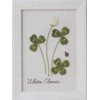 LECIEN 0000542004 Embroidery Kit, Kazuko Aoki 12 Months Plant Book,