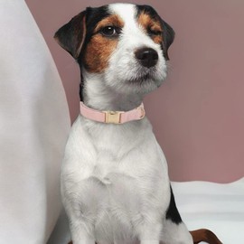 YUDOTE Ultra-soft Dog Collar Natural Cotton Corduroy Made for Large Dogs with Sensitive Skin,Dusty Pink