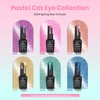 beetles Gel Polish 6 Colors Cat Eye Nail Set Glitter