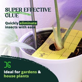 Catchmaster GRO Yellow Sticky Trap 50PK, Adhesive Outdoor Insect Trap with Center Hole Cut for Crawling Insects, Protect Live Plants Indoor, Bug, & Fly Trap, Glue Traps for Home, Garden, & Greenhouse