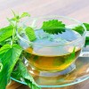 Nature Tea Nettle Leaf - Urtica dioica Loose Leaf C/S