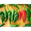 Chimayo New Mexico Chile Posole Pepper Premium Seeds for Planting