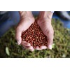Spice for Life Red Kampot Pepper, The King of Pepper,