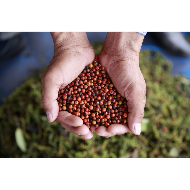 Spice for Life Red Kampot Pepper, The King of Pepper,