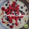 Freshly Fermented - Organic Certified Freeze Dried Yoghurt Starter Culture,
