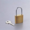 エレコム ピンタンブラー セキュリティロック 南京錠 ゴールド 幅25×奥行11×高さ51mm 真鍮 鍵2本付 ESL-NK