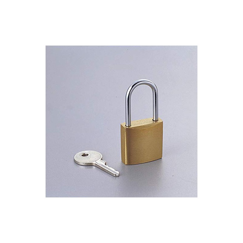 エレコム ピンタンブラー セキュリティロック 南京錠 ゴールド 幅25×奥行11×高さ51mm 真鍮 鍵2本付 ESL-NK