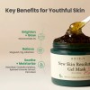AXIS-Y [AXIS-Y]New Skin Resolution Gel Mask 100ml