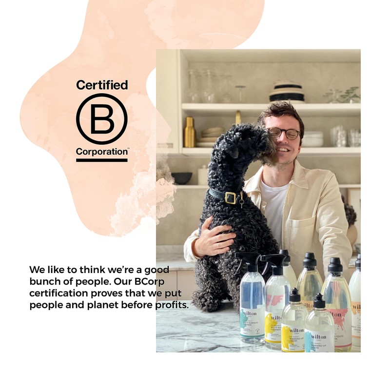 Wilton London Eco-Friendly Sponge - Plastic Free and Biodegradable -