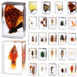 24 Styles Insect in Resin Specimen Butterfly Bugs Collection Paperweights,Real Bug Ocean Anima Specimen Bug Kit Preserved in Resin for Scientific Educational Office Desk Display Supplies (24)