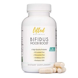 Probiotic - Histamine-Free  D-Lactate Free - Probiotics for Mood with Prebiotics - Bifidus Mood Boost - Prebiotic GOS                                 